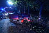Wypadek w Szynwałdzie. Kierowca uderzył w drzewo. Był kompletnie pijany! Jechał, mając prawie 5 promili!  [zdjęcia]