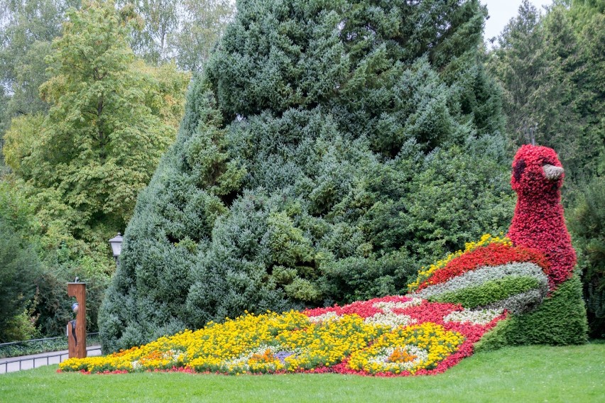 Mainau to wyspa leżąca nie na morzu, lecz na Jeziorze...