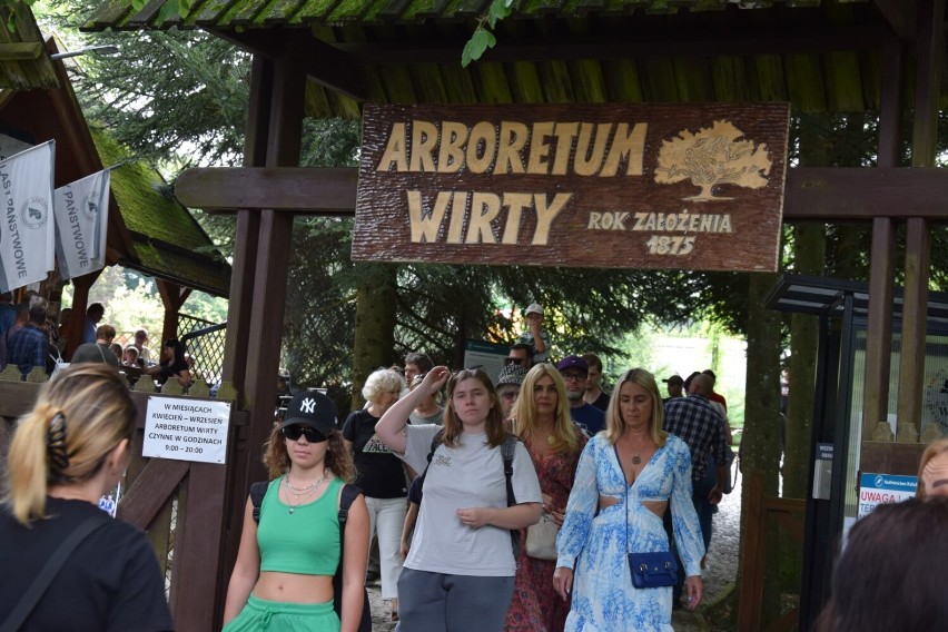 Wszystkie drogi prowadziły do Arboretum Wirty. Tłumy gości na Jarmarku Kociewskim 
