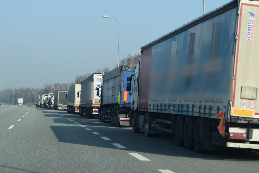 Kierowcy ciężarówek muszą "kręcić pauzy" na autostradzie A1,...