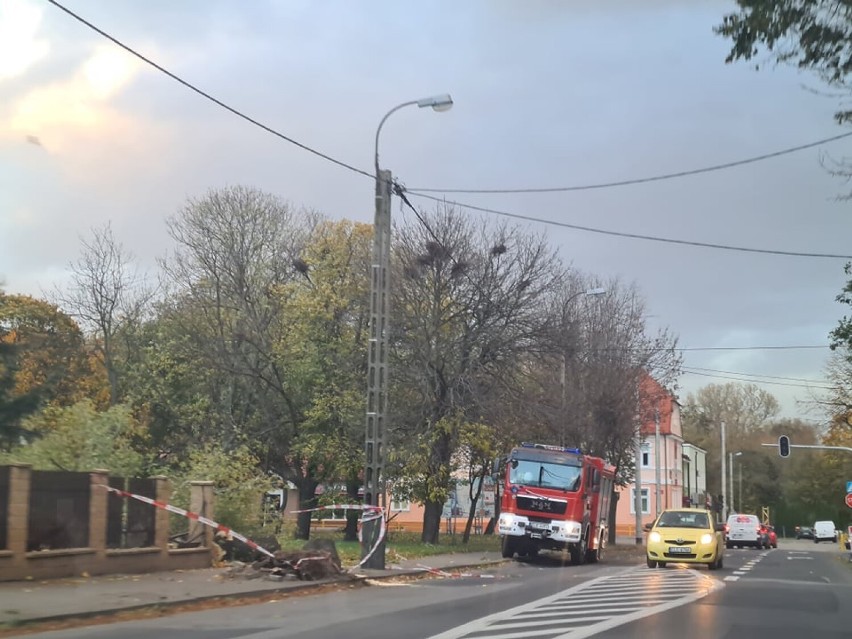 Wichura w powiecie łęczyckim. Połamane drzewa i zerwany dach ZDJĘCIA