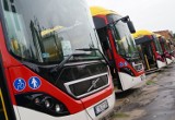 Linie autobusowe w Inowrocławiu. Ile ich jest? Znacie trasy?