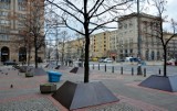 Ochrona drzew, Warszawa. Na ulicach pojawiły się drewniane konstrukcje, maty i folie [ZDJĘCIA]