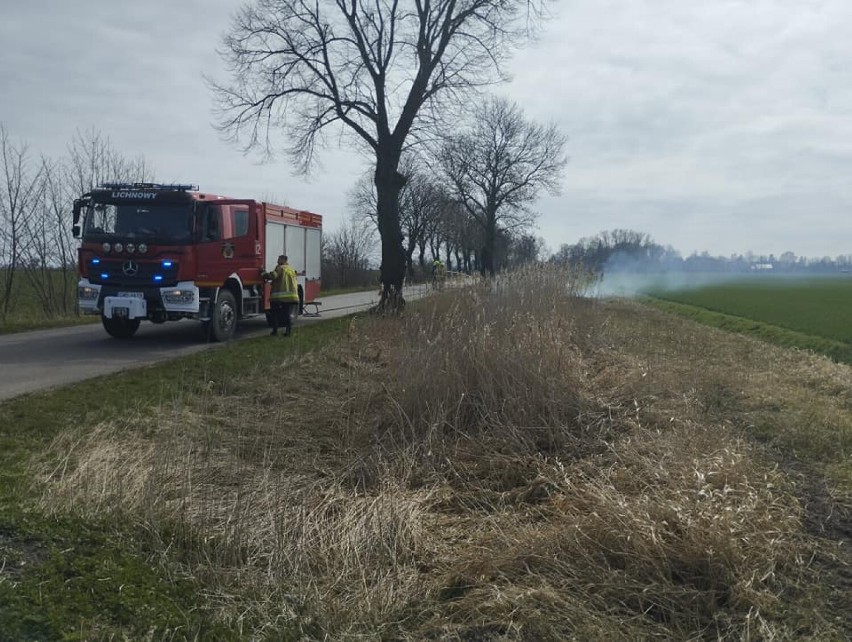 Pożar traw w Lichnowach