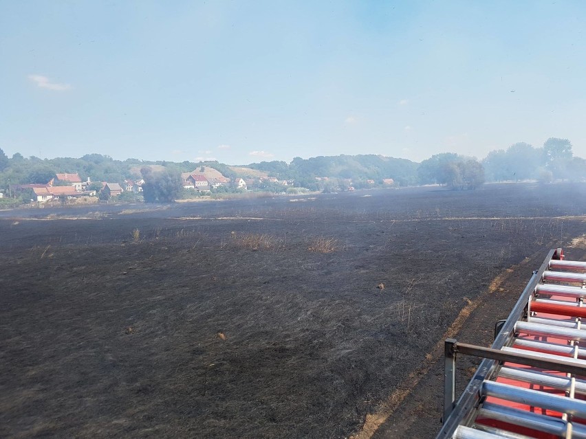 Pożar w okolicach miejscowości Chyże w gminie Krosno...