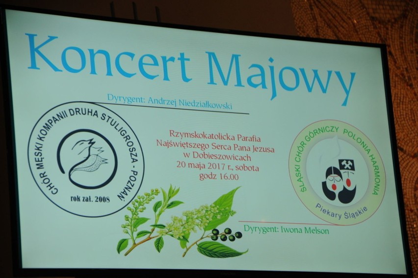 Koncert Majowy w Dobieszowicach