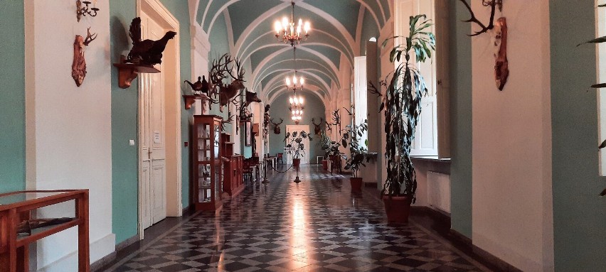 Ruszaj na spacer po pałacowych salach w Żaganiu!