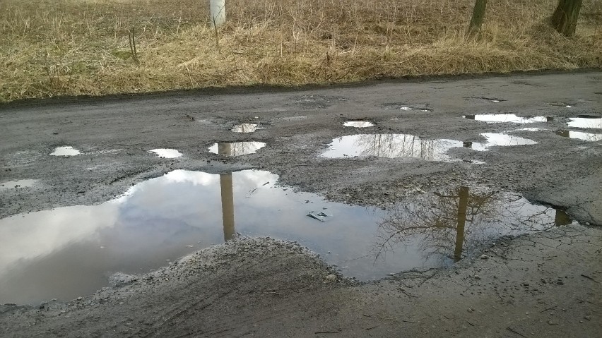 Droga w Domaniewicach jest pełna dziur. Gmina obiecuje remont jeszcze w tym roku