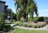 Ostrów Wielkopolski: Najpiękniejszy ogród w naszej Gminie 2020 (FOTO)