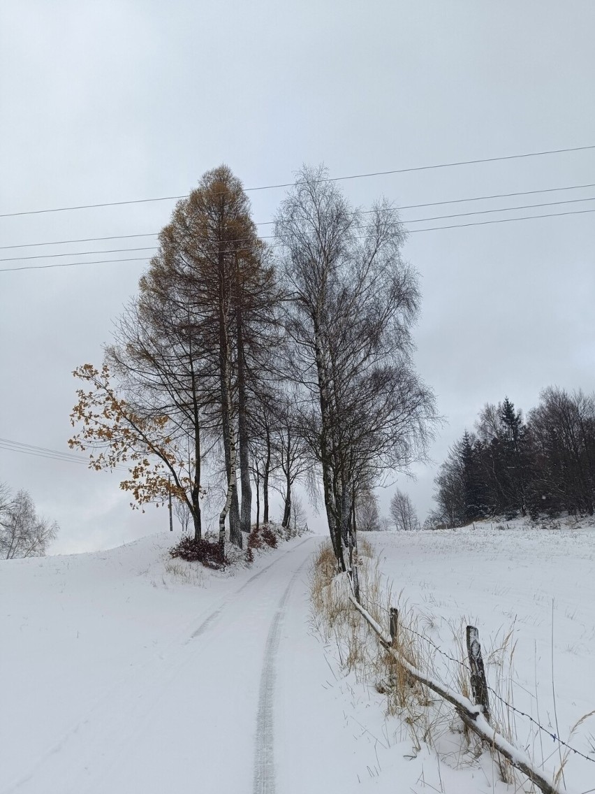 Zima w Beskidach - ośnieżone stoki zapraszają do odwiedzin.