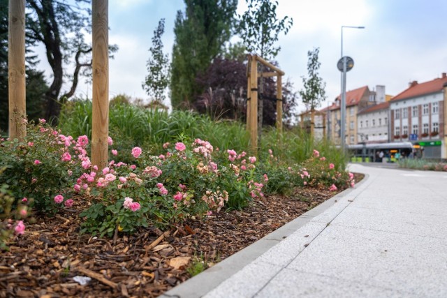 Gorzowianie uważają, że mieszkają w zielonym mieście, które coraz częściej jest "betonowane"