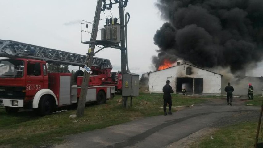 Pożar w Baczynie. Na fermie spłonęło tys. indyków