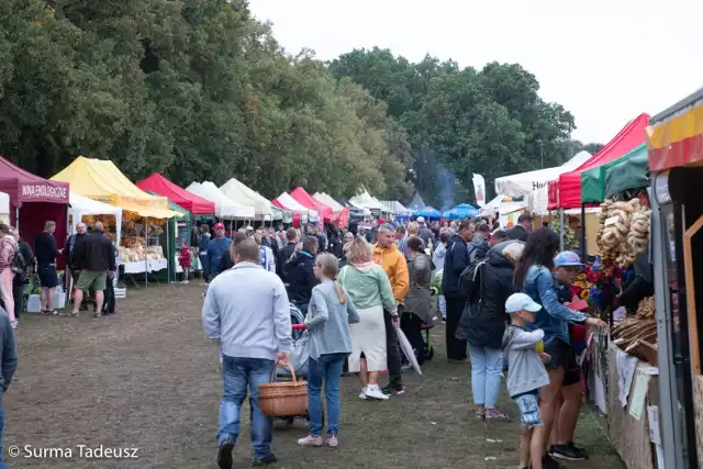 Tegoroczne targi odwiedzały tłumy, które nadciągały z całego województwa.