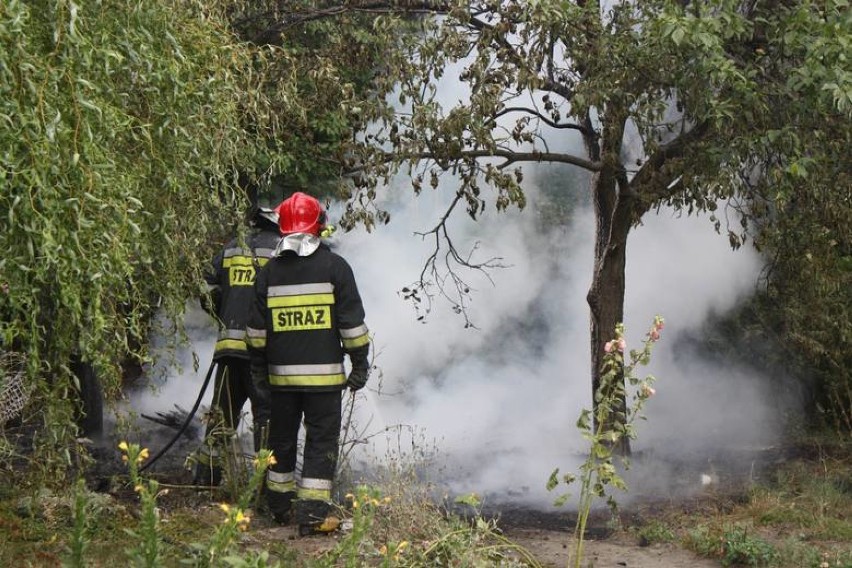 Pożar na działce w Sosnowcu