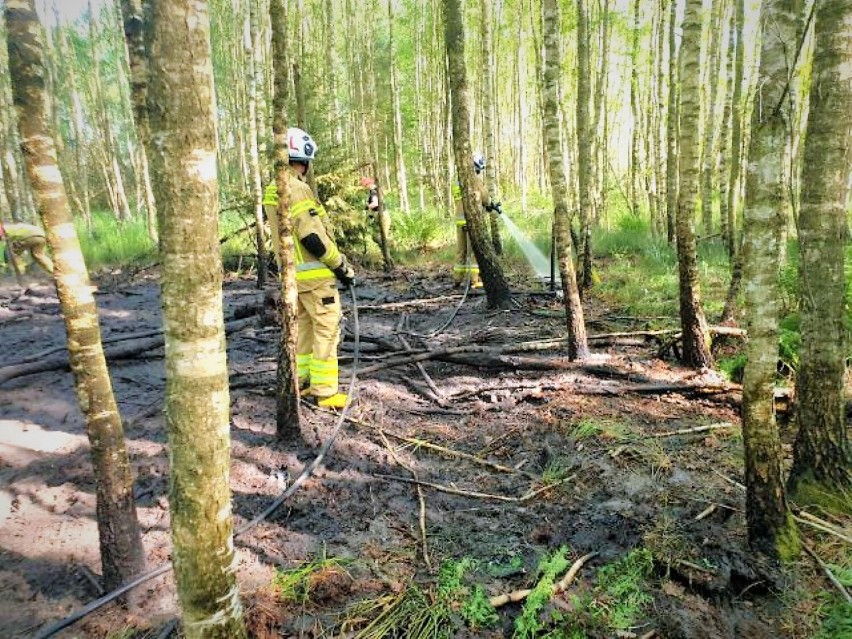 Pożar lasu w okolicy Łętowa - gm. Sławno