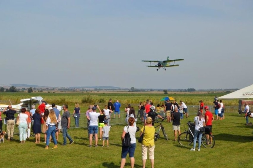 Piknik Lotniczy w Świebodzicach. Największą atrakcją był Antek Wiedeńczyk - najstarszy antyczny samolot