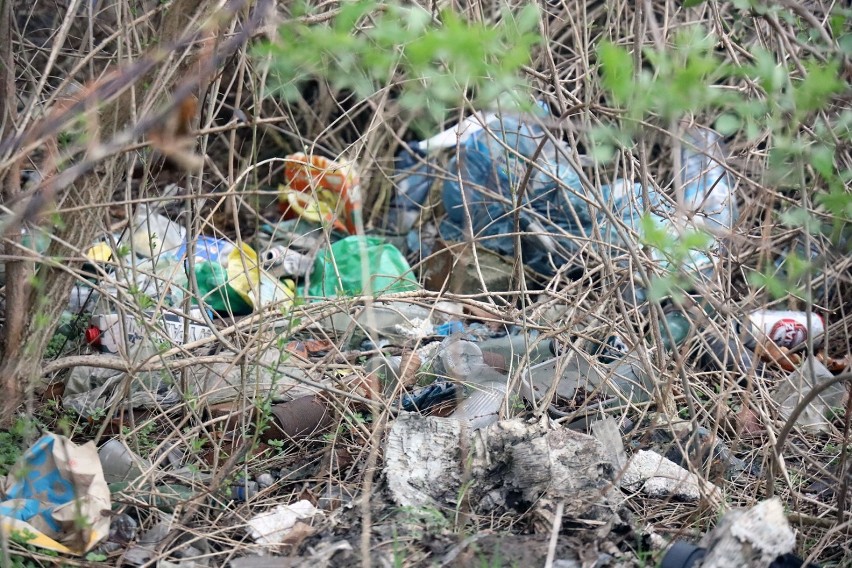 Następne dzikie wysypisko śmieci w Legnicy, zobaczcie zdjęcia