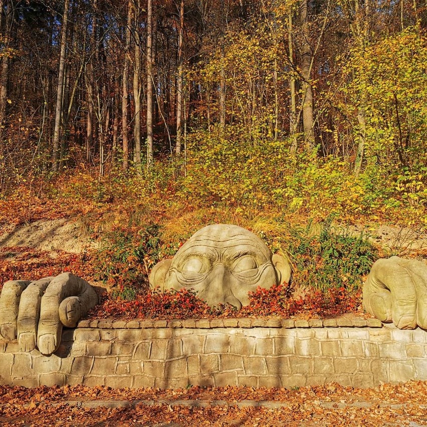 Park Zdrojowy to serce Kudowy-Zdrój. To tutaj znajduje się największa Pijania Wód Mineralnych na Dolnym Śląsku