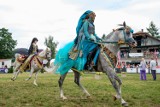 Tarnów. Piękne konie arabskie przyciągnęły tłumy do Klikowej. Kolejny dzień imprezy "All-Polish Arabian Horse Chmpionschip. Zdjęcia!