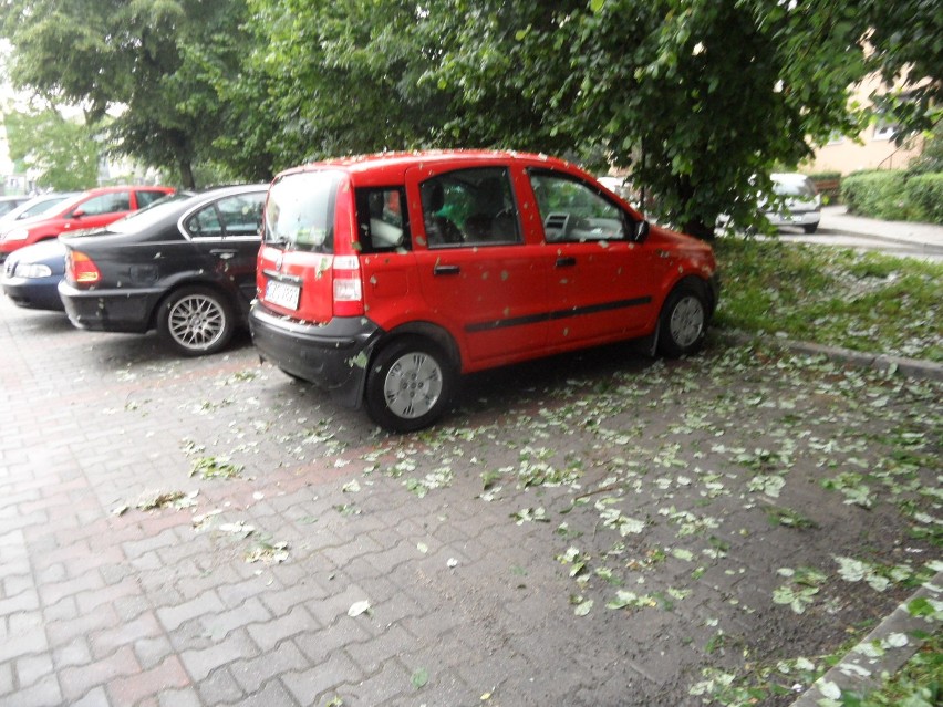 - Każdy, kto jest ubezpieczony, może ubiegać się o...