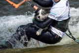 Ford Kuga Kite Challenge 2020 Rewa. Tak się lata w Rewie przy Szpyrku. Na wodzie i nad wodą sportowcy oraz... kite pies. I to jaki | ZDJĘCIA