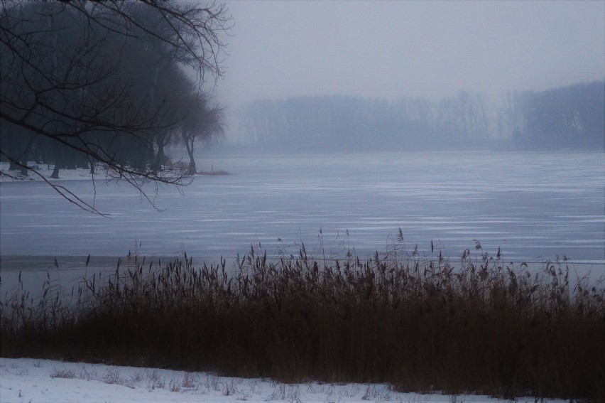 Uroki zimy w powiecie Inowrocławskim [zdjęcia]