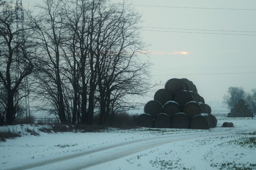 Uroki zimy w powiecie Inowrocławskim [zdjęcia]