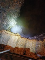 Ekologiczny skandal! Ktoś zanieczyścił ropopochodną substancją rzekę i jezioro koło Starogardu