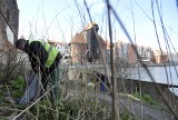 Gdańsk: Porządki na Wyspie Spichrzów. Skazani z Zakładu Karnego na Przeróbce sprzątają