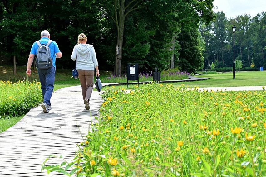 Sycowski Park Miejski w letniej odsłonie. Zobacz zdjęcia!