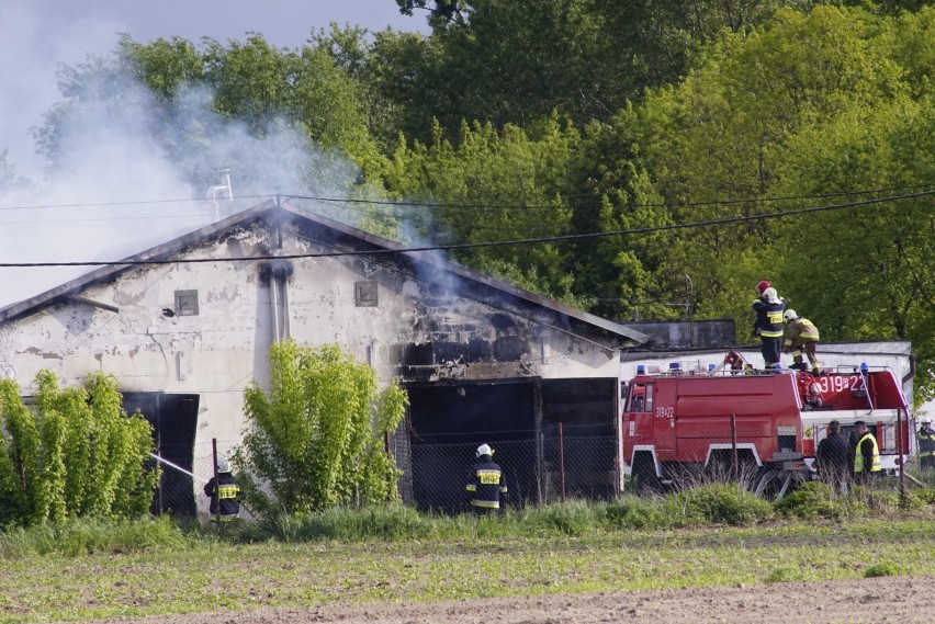 Pożar świniarni w Więckowicach, w gminie Dopiewo. W akcji...