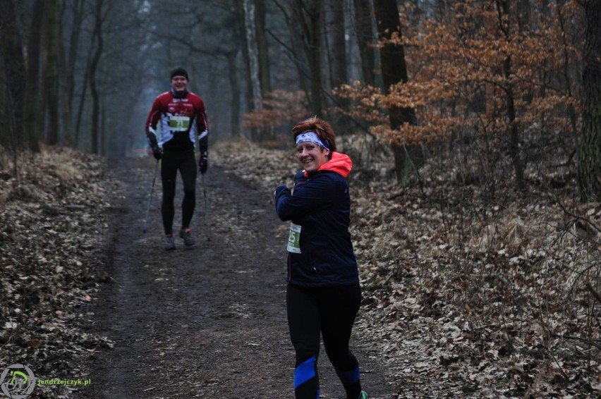 City Trail w Katowicach - zdjęcia z finałowego biegu [28 luty 2016]