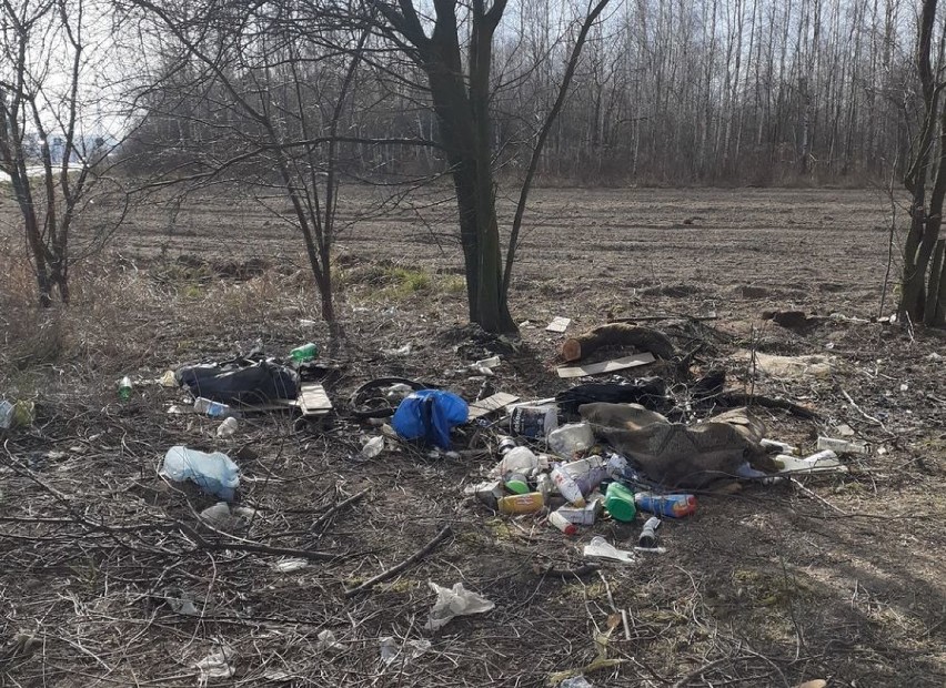 Dzikie wysypiska w gminie Opoczno. Za wyrzucanie śmieci grożą wysokie kary od 500 zł do 5 tys. zł [zdjęcia]