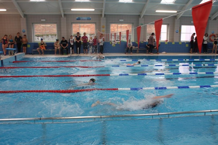 Na wodzisławskim basenie rywalizowało ponad 100 osób