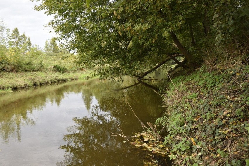 Bulwar nad Łupią. Czy to w ogóle możliwe?