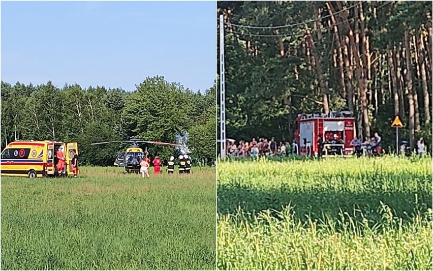 Dramatyczne sceny nad jeziorem Skrzyneckim pod Włocławkiem