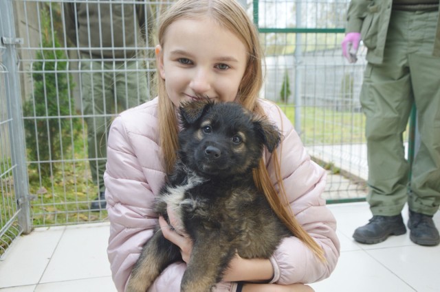 W schronisku dla zwierząt w Bełchatowie można adoptować psa lub kota w ramach akcji PSIEprowadzki
