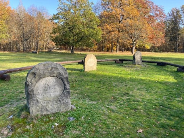 Widok na trzy nagrobki, które pozostały na terenie kliczkowskiego parku
