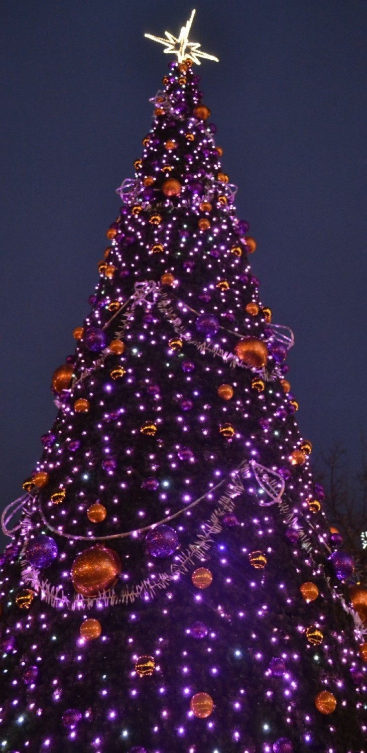 Iluminacje świąteczne 2014 w Wejherowie