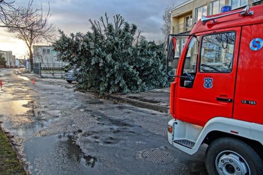 Wichura w Wielkopolsce: Ponad 200 interwencji strażaków