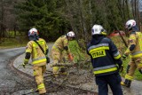 Podhale. Pod Giewontem wieje silny halny. Wiatr łamie gałęzie i konary drzew. Są pierwsze interwencje strażackie