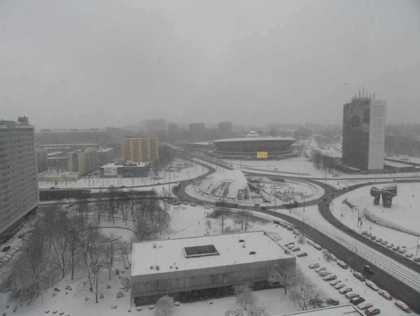 Nasilenie objawów zależy w dużym stopniu od stężenia pyłu w...