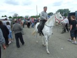 IX Ogólnopolskie Targi Końskie - Pajęczno 2012