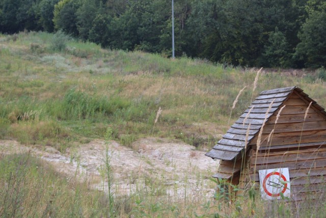 Chełmski stok obecnie przypomina zarośniętą łąkę. Wszystko ma się zmienić gdy miasto znajdzie nowego zarządce obiektu.