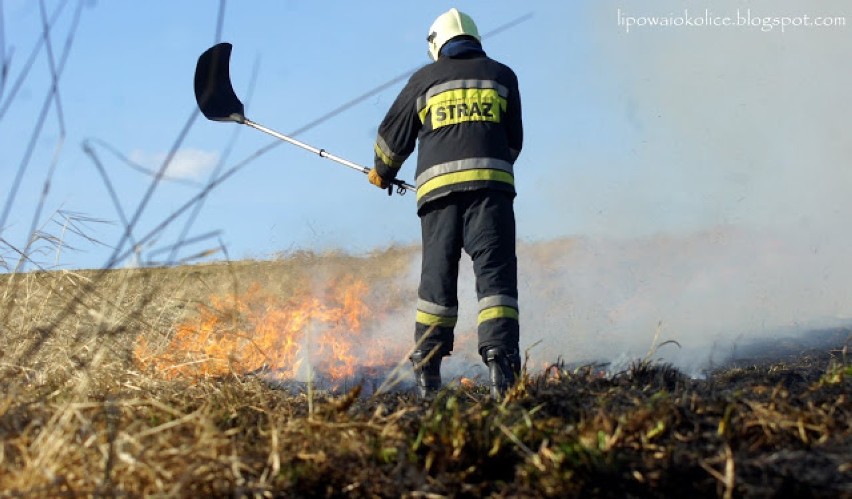 Pożar traw w Lipowej [4 marca]