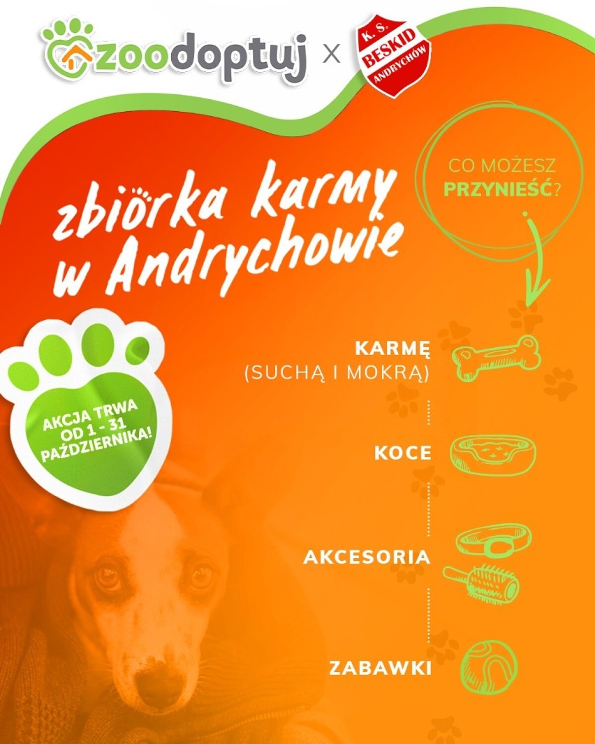 Wystartowała czwarta edycja zbiórki karmy dla zwierząt w Andrychowie. Każdy może pomóc
