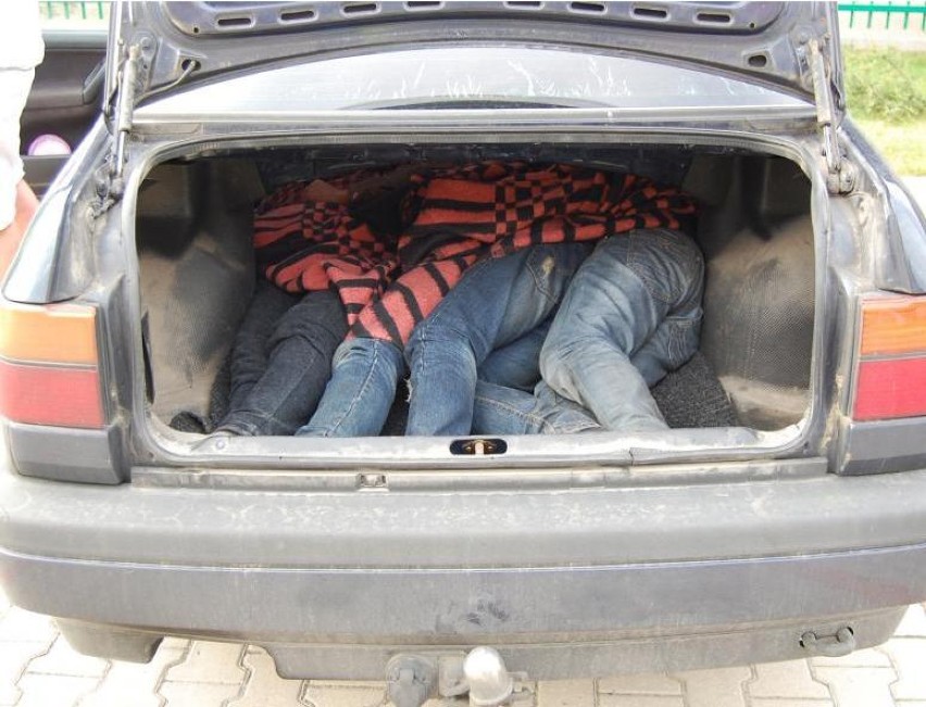 Nielegalni migranci jechali w bagażniku volkswagena