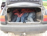 Nielegalni migranci jechali w bagażniku volkswagena [ZDJĘCIA]
