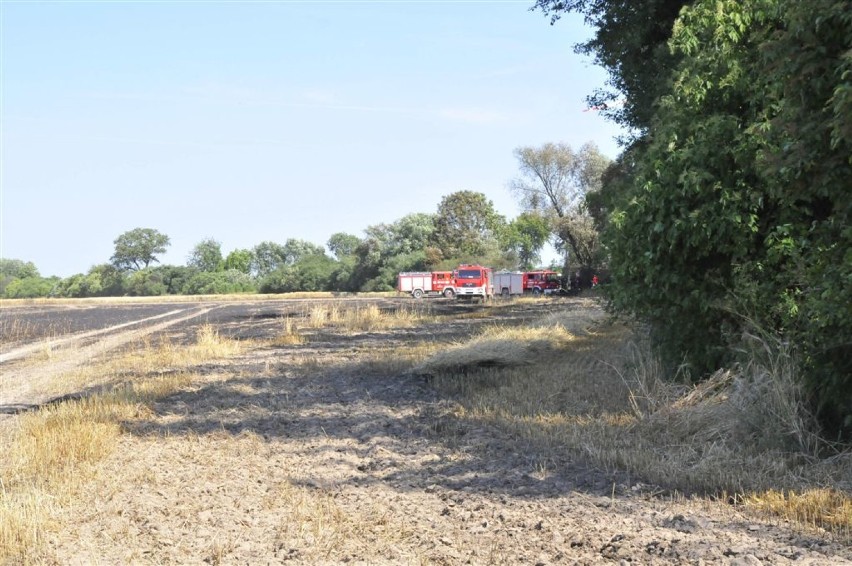 Prawie cztery hektary jęczmienia spłonęło na polu w okolicy Głuchowa