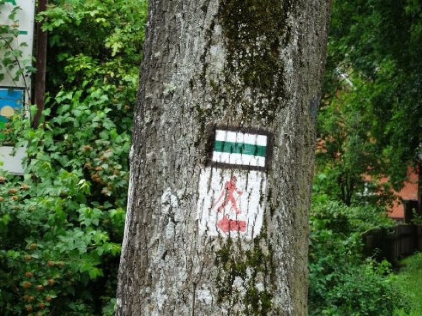Renowacja oznakowania dwóch pieszych szlaków turystycznych w Górach Bystrzyckich